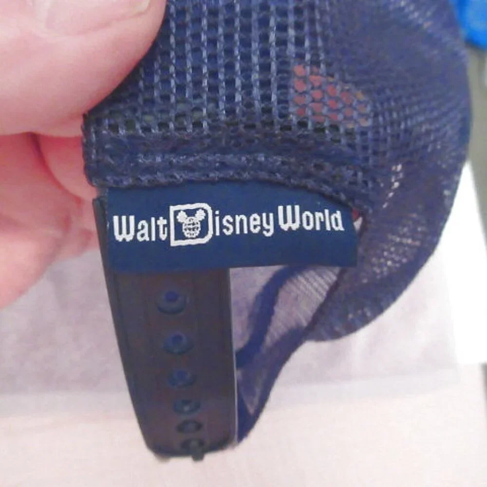 Disney new tags